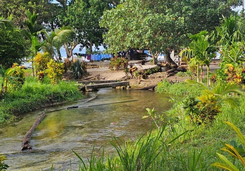 A river flowing towards a beach with trees and grass growing around it