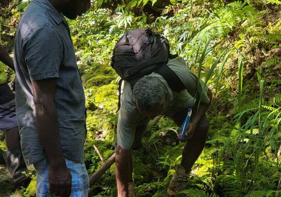 A man reaches down to identify a plant in a forest