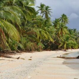 Climate Resilient Islands Programe
