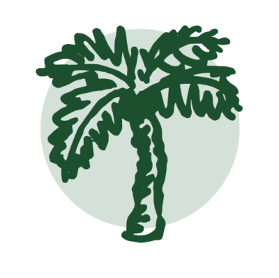 A hand-drawn picture of a coconut palm, one of the resilience symbols