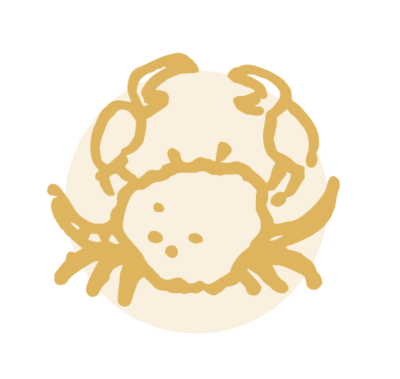 A hand-drawn picture of a crab, one of the resilience symbols