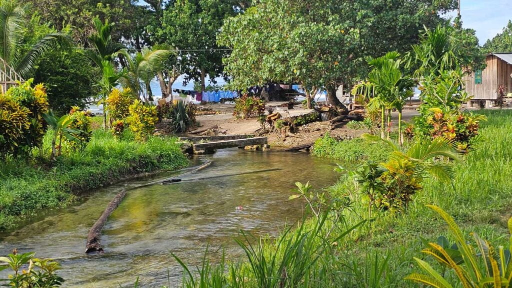 A river flowing towards a beach with trees and grass growing around it