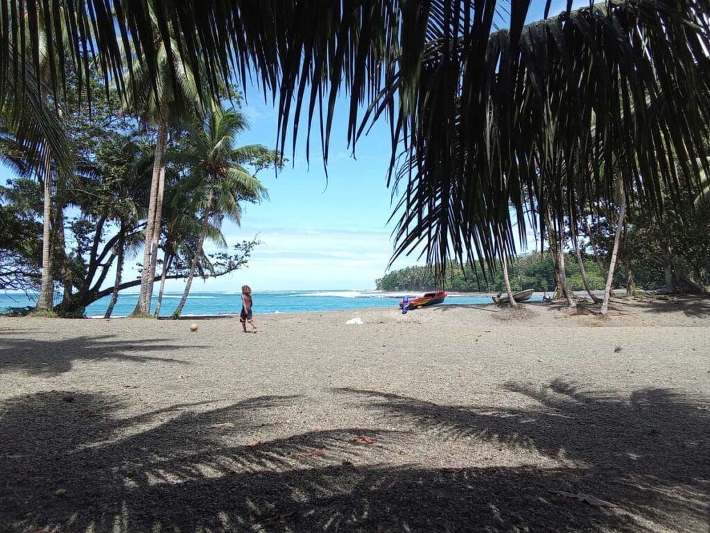 A beach framed with trees