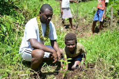 Man and boy in Vanuatu planting a tree