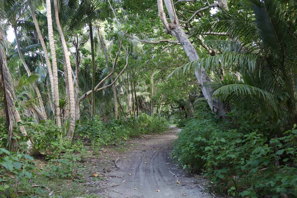 Vaitupu woodland