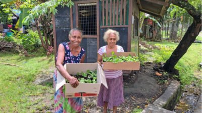 Two women holding boxes of vegetables 