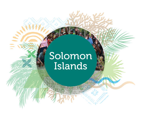 Climate Resilient Islands Sols