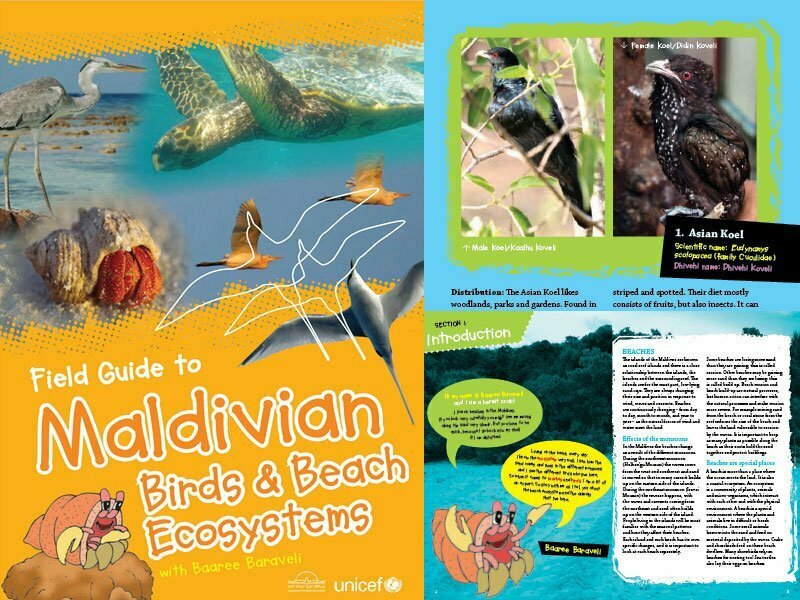 Cover page for the document 'Field Guide to Maldivian Birds and Beach Ecosystems'