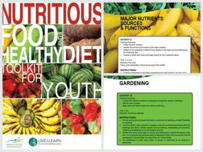 Cover page for the document 'Nutritious Food and Healthy Diet: A Toolkit for Youth'