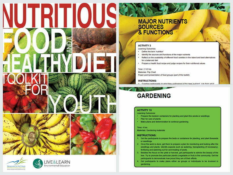 Cover page for the document 'Nutritious Food and Healthy Diet: A Toolkit for Youth'